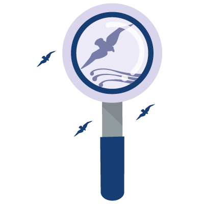 error 404 miramar mallorca collection